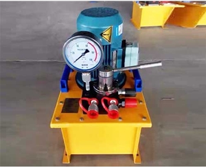 標(biāo)準(zhǔn)電動(dòng)泵